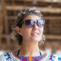 Professeur certifi&eacute; donne cours de fran&ccedil;ais et litt&eacute;rature dynamique