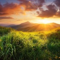 Professeur & Auteur donne cours de Fran&ccedil;ais & Primaire