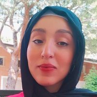 Ing&eacute;nieur en automatique propose cours de maths ou d'arabe par webcam