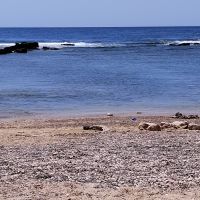 Apr&egrave;s 6 ans d'exp&eacute;rience dans le secteur de la formation je vous accompagne pour monter en comp&eacute;tence