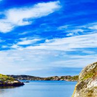 Diplôme de doctorat à la Sorbonne universite
