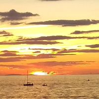 Professeur en Economie Gestion donne cours de Management, Marketing, Sciences de Gestion