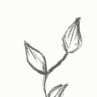 Un bac + 5 en sciences de l'&eacute;ducation et un titre de psychop&eacute;dagogie je mets mes comp&eacute;tences au service des &eacute;l&egrave;ves