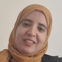 Titulaire d'un doctorat en math&eacute;matiques propose des cours de maths par webcam