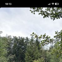 Étudiante en 3ème année de santé, je vais vous donner toutes les astuces pour réussir !