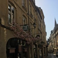 Titulaire d&rsquo;un doctorat en management d&rsquo;organisation internationale