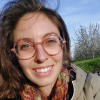 Professeur certifi&eacute; donne cours niveau coll&egrave;ge et lyc&eacute;e en vision ou &agrave; Orange