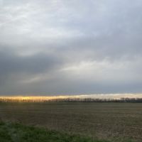 &Eacute;tudiante en 2&egrave;me ann&eacute;e d&rsquo;orthophonie et titulaire d&rsquo;une licence en linguistique, je propose des cours de fran&ccedil;ais.