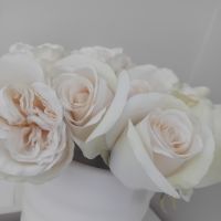 Dipl&ocirc;m&eacute;e d'un Master de physique j aide vos enfants dans plusieurs disciplines