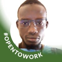 Professionnel de l'informatique, je donne des cours en ligne en Python, PHP, MySQL, Bootstrap etc...