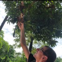 Ancien &eacute;l&egrave;ve d'un BTS Comptabilit&eacute; et Gestion des Organisations, je peux aider pour la pr&eacute;paration du brevet