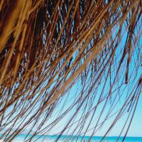 Titulaire d'un Master de rechercher en chimie organique, je donne des cours en mathématiques et psychique-