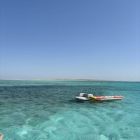 Professeur de sciences passionn&eacute;e