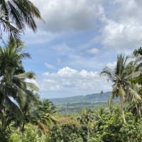 Titulaire d&rsquo;un Master 2 MEEF, professorat des &eacute;coles, possibilit&eacute; d&rsquo;aider de l&rsquo;&eacute;cole primaire &agrave; la terminale