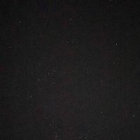 &eacute;tudiante en L1 biologie, je propose des cours dans les mati&egrave;res scientifiques ( + maths et physique chimie)