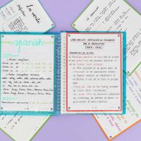 Titulaire d'un BAC ST2S, et actuellement en 2&egrave;me ann&eacute;e de BTS SP3S