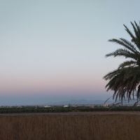 Professeure allemande donne cours en allemand, anglais et FLE