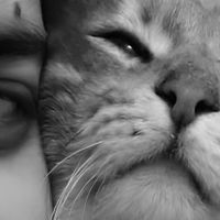 &Eacute;tudiante en 3ᵉ ann&eacute;e d'&eacute;cole d'ing&eacute;nieur sp&eacute;cialis&eacute;e en &eacute;lectronique, je propose des cours de math&eacute;matiques