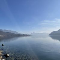 Professeure d'Anglais et de Fran&ccedil;ais depuis 5 ans aupr&egrave;s de publics vari&eacute;s propose cours de soutien.