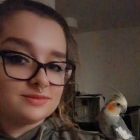 En fin d'&eacute;tude et bient&ocirc;t professeur de fran&ccedil;ais, je propose des cours particuliers pour les coll&eacute;giens et les lyc&eacute;ens.