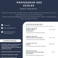 Titulaire d'un Master MEEF et forte de multiples expériences en milieu scolaire, je propose des cours à domicile/visio