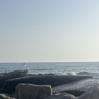 Dipl&ocirc;m&eacute; d&rsquo;un master en &eacute;conomie et march&eacute;s, j&rsquo;aimerais apporter mes connaissances &agrave; ceux qui en ont besoin.