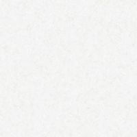 Cours d'anglais niveaux débutants et intermédiaires