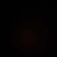 &Eacute;l&egrave;ve en L2 AEI donne des cours en visio pour primaire