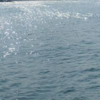 Dipl&ocirc;m&eacute;e de licence de math&eacute;matiques &agrave; l'universit&eacute; Paris Dauphine propose des cours de soutiens scolaires