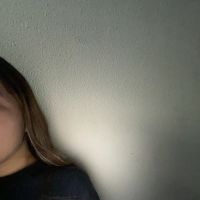 Enseignante d&rsquo;anglais - accompagnement des &eacute;l&egrave;ves de CM1 , CM2 et 6 &eacute;me pour les devoirs et les &eacute;valuations