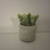 Titulaire d'un master MEEF sp&eacute;. Maths et d'un CAPES, j'aide et j'accompagne des &eacute;l&egrave;ves du secondaire.