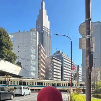 Titulaire d&rsquo;un Master 2 en marketing op&eacute;rationnel, j&rsquo;ai &eacute;t&eacute; tutrice universitaire en math&eacute;matiques pour des &eacute;tudiants.