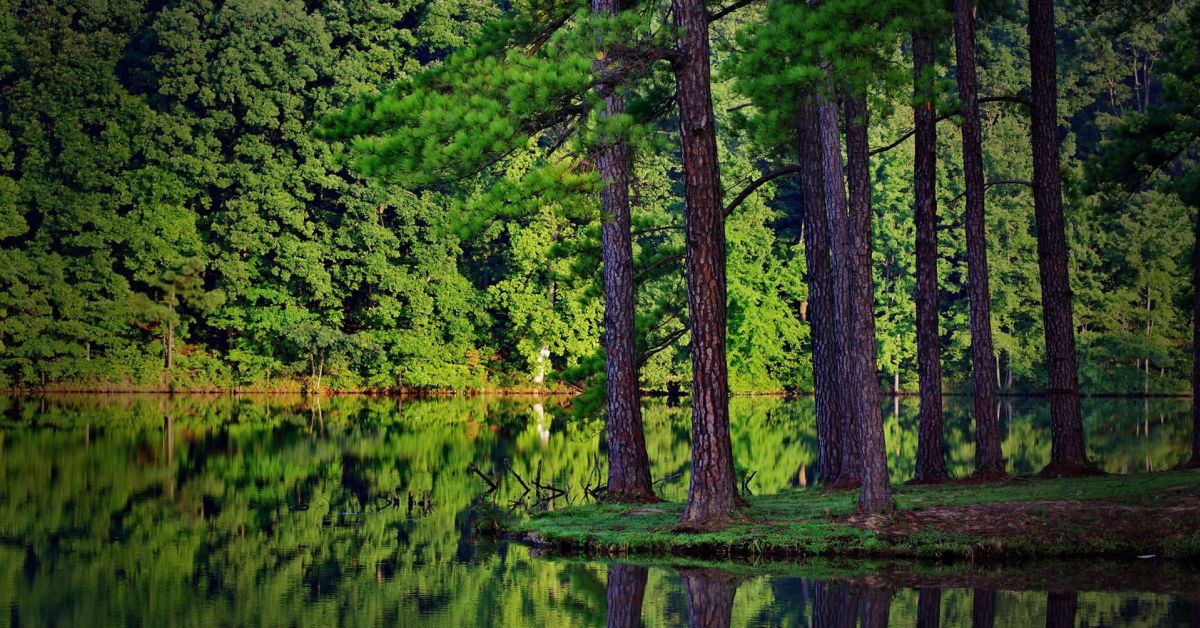 ヘルステック　Ubieを知ってみたい医師の方おはなししましょう