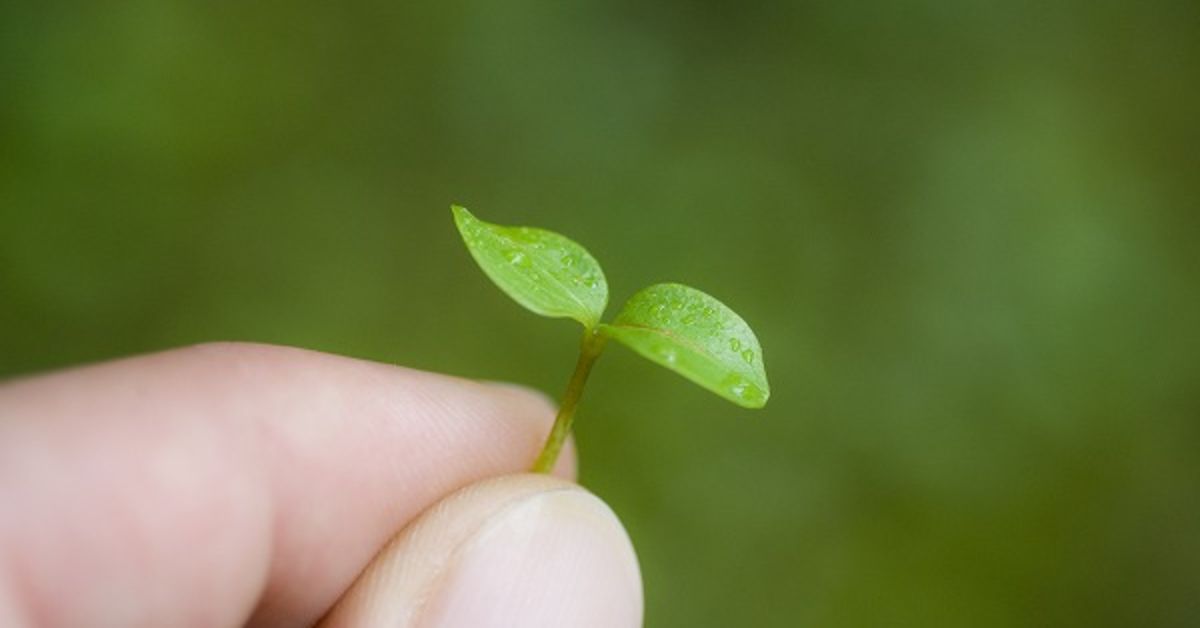 0->1フェーズの事業のつくり方のお話をしませんか？