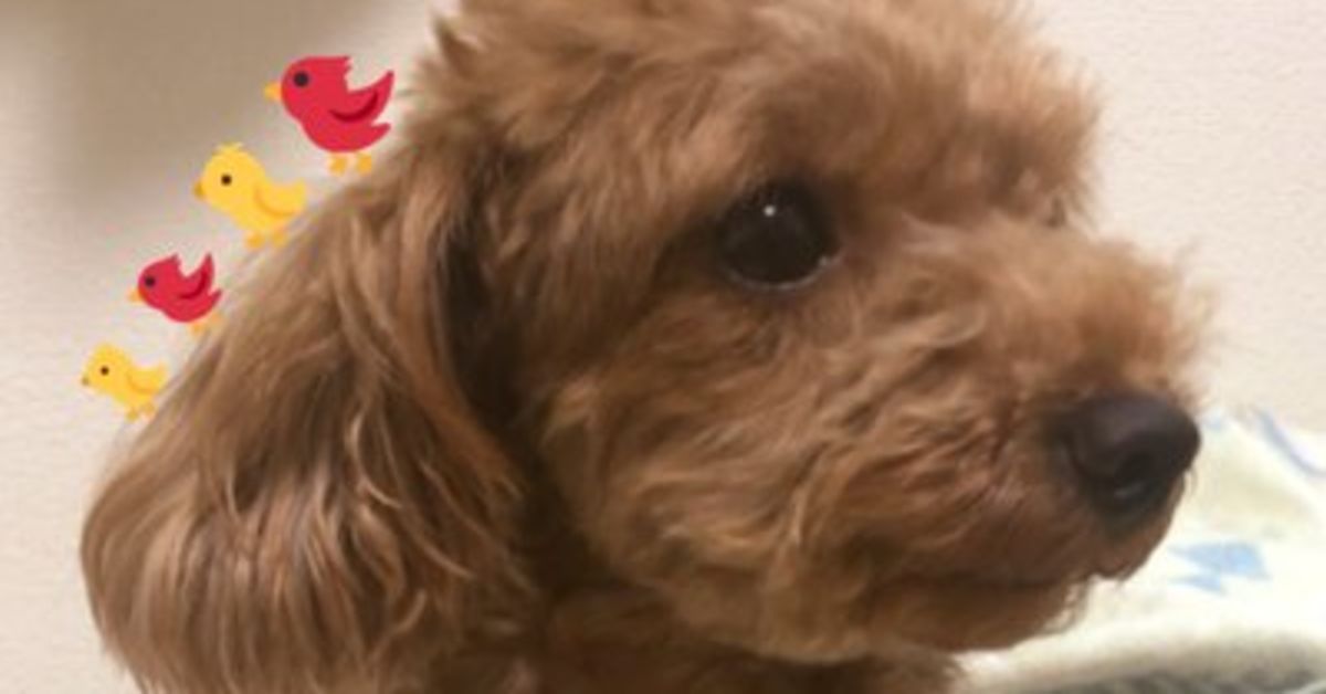 ギフトECを支える倉庫管理システムの開発とチームについて話します