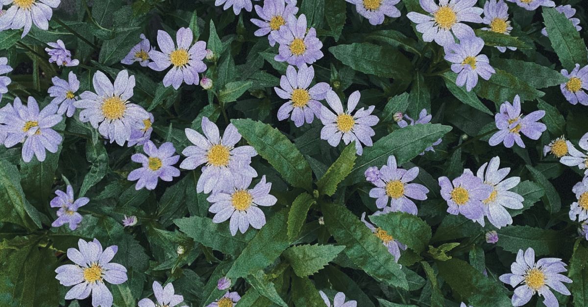 フェミニズムに関心のある方、助けてください！