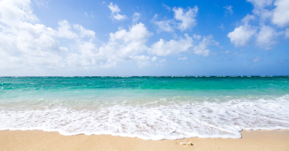 採用人事やりたい