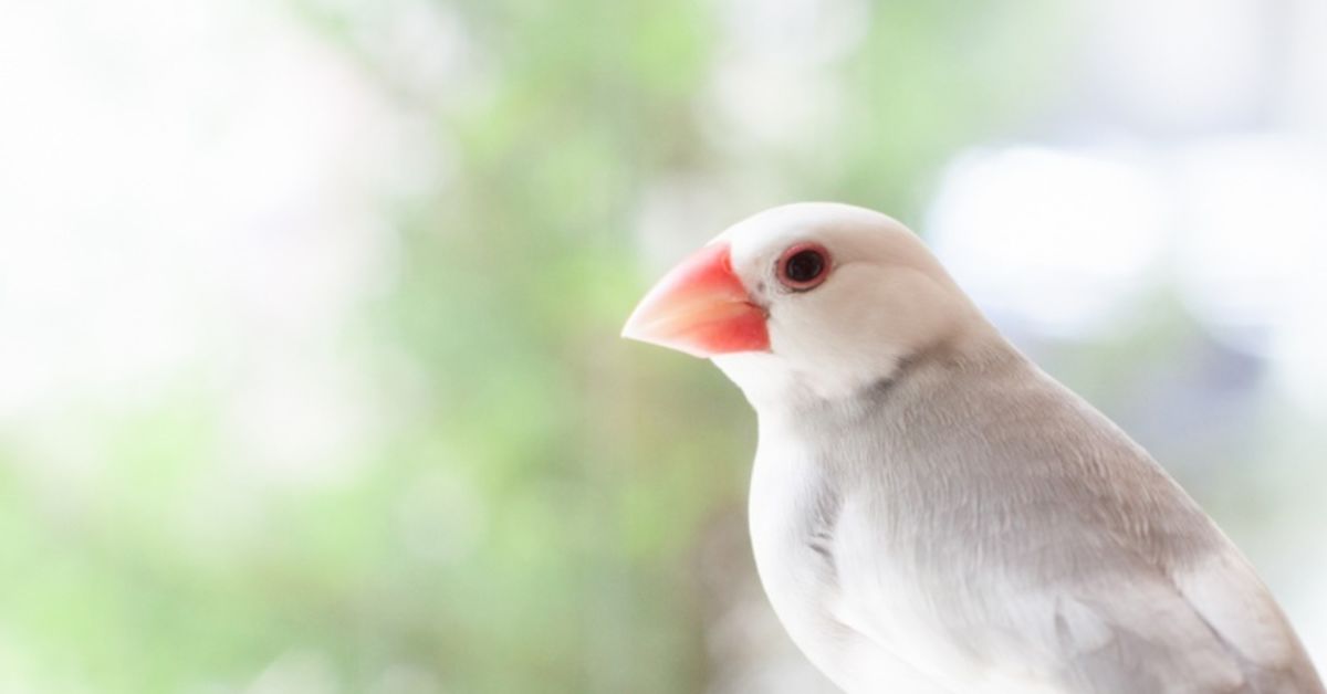 戦略コンサルで働く20代の方とカジュアルに話したい！