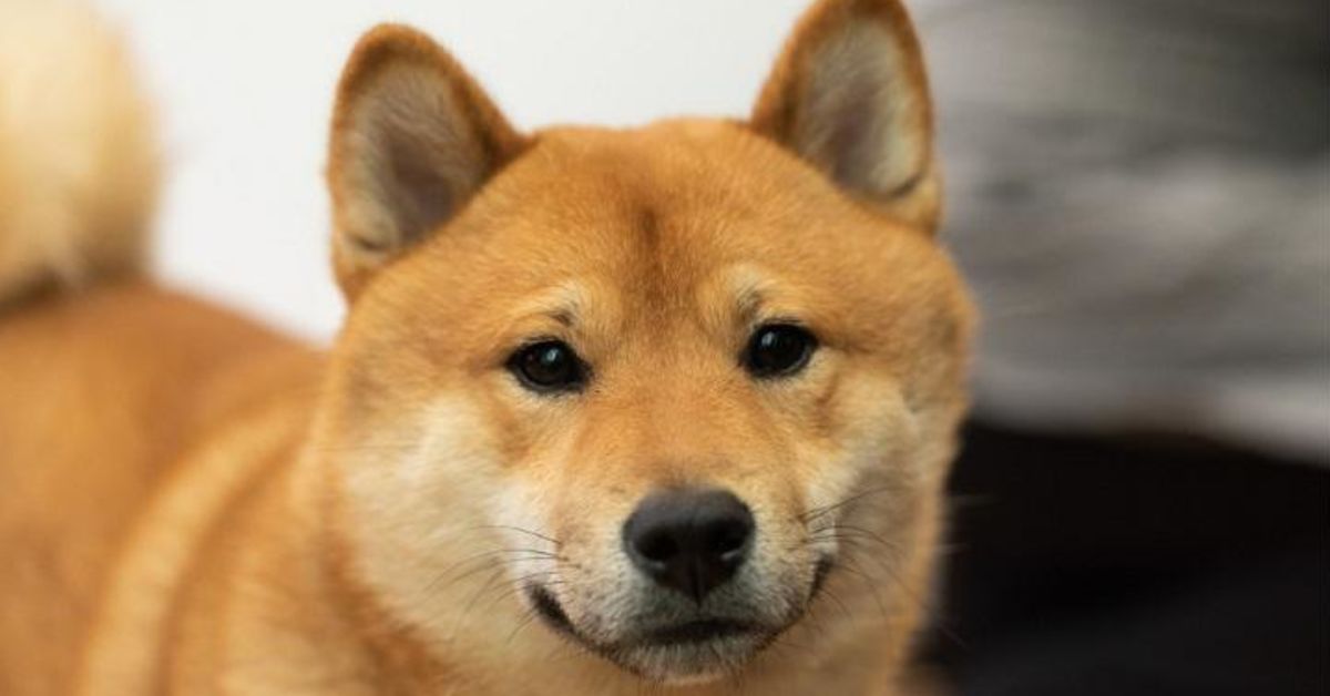 エンジニアが働きやすい＆パフォーマンス発揮する組織には何が必要？