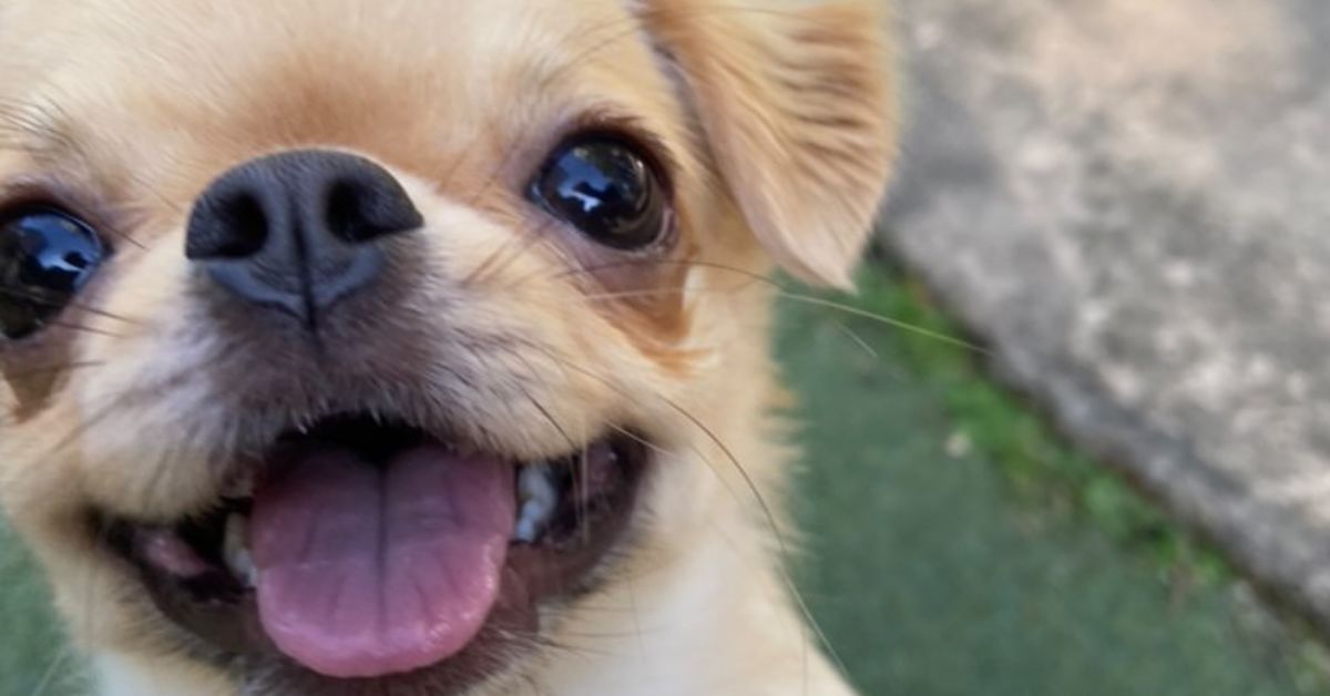 施工管理職(建築)の採用について一緒に悩んでほしいです