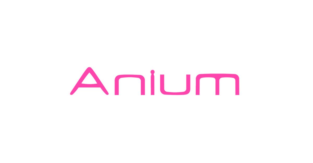 Anium Inc.のご紹介