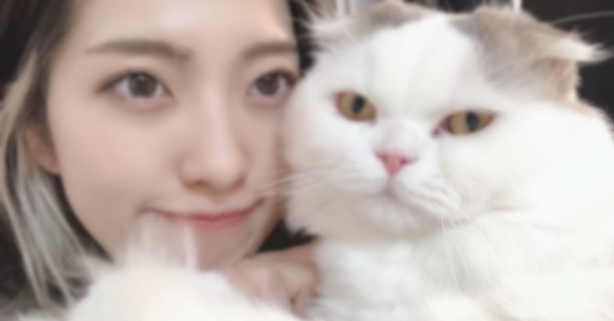 広報で悩んでいる方、傷の舐め合いをしましょう