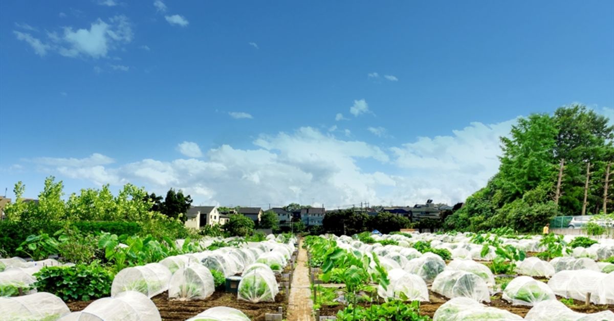 人事からみた農業ベンチャーの実態お話します！