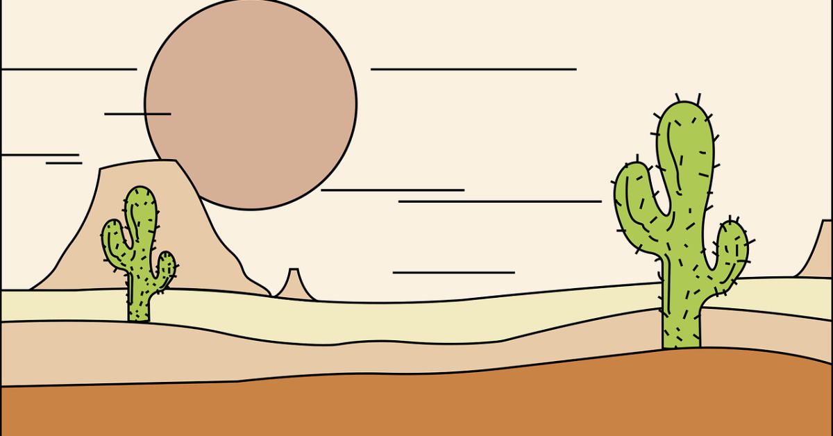 36歳8社目の転職玄人とキャリアの話をしませんか？