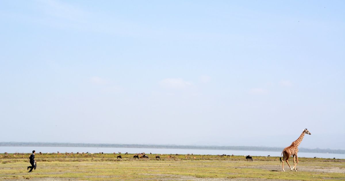 "組織内会計士"でゆるくつながりませんか？