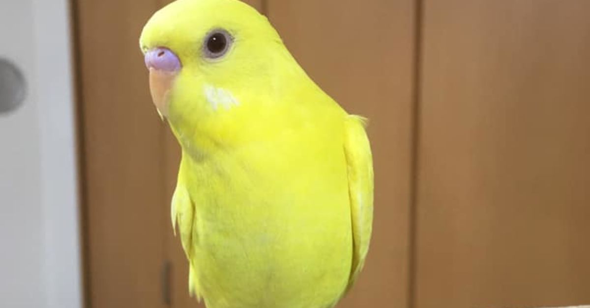 えぇ！?まだ知らないのぉ！？?
カスタマーサクセスって何！？?✨