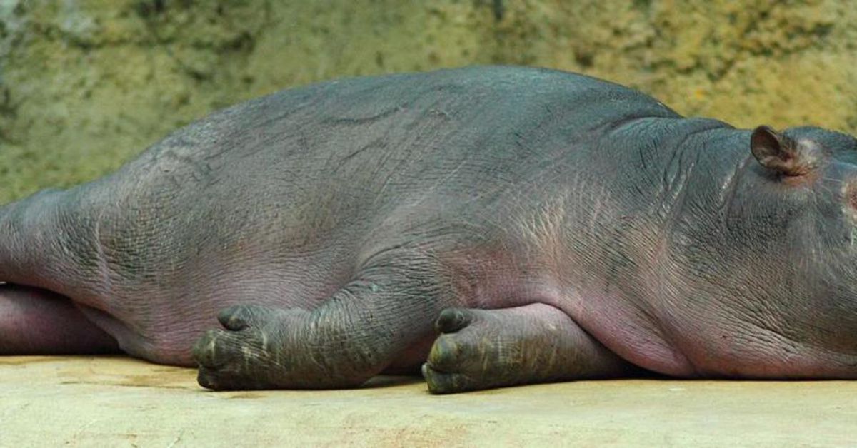 試しに作ってみました