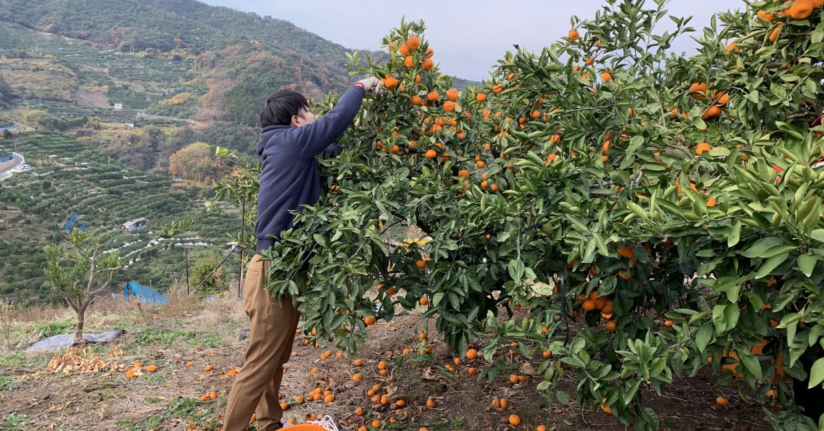 stand.fmの開発、愛媛からのフルリモート、フロントエンド、なんでも