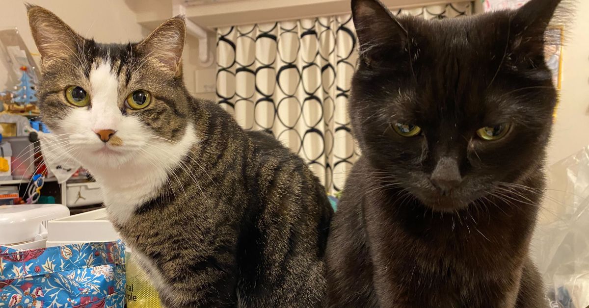 結婚、出産、転職、、、女性のキャリアのお悩み、話しましょう！