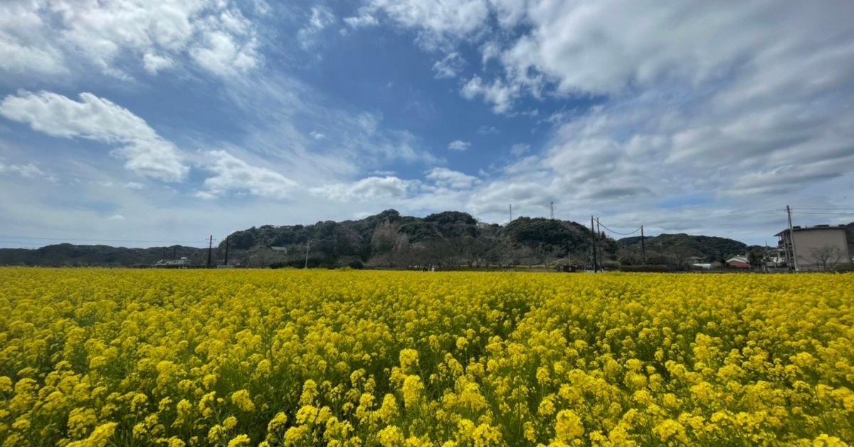 CIer・クラウドエンジニアってどんな感じ？